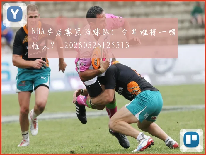 NBA季后赛黑马球队:今年谁将一鸣惊人?_20260526125513