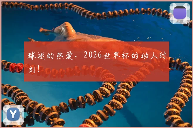 球迷的热爱,2026世界杯的动人时刻!