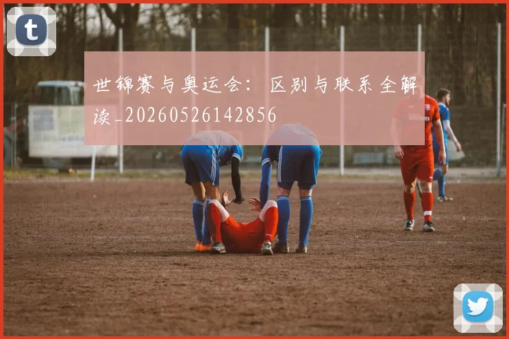 世锦赛与奥运会:区别与联系全解读_20260526142856
