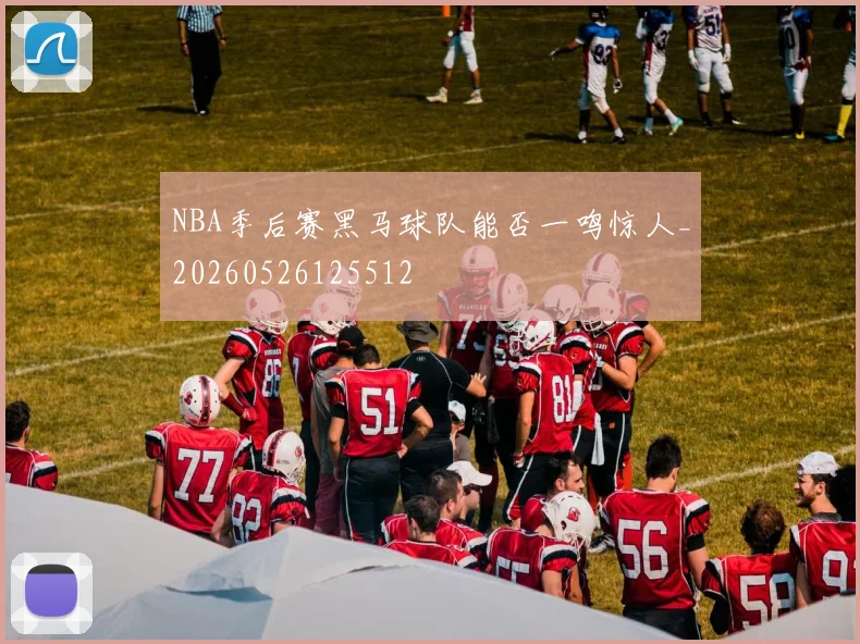 NBA季后赛黑马球队能否一鸣惊人_20260526125512
