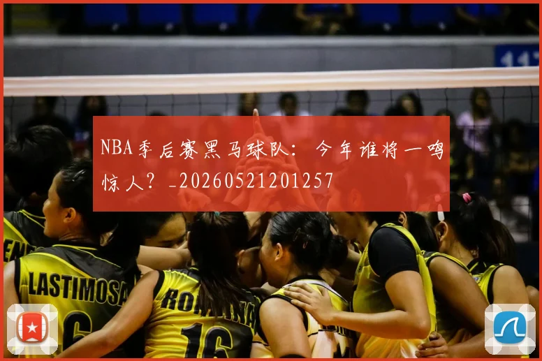 NBA季后赛黑马球队：今年谁将一鸣惊人？_20260521201257