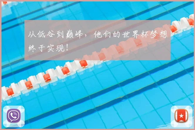 从低谷到巅峰,他们的世界杯梦想终于实现!