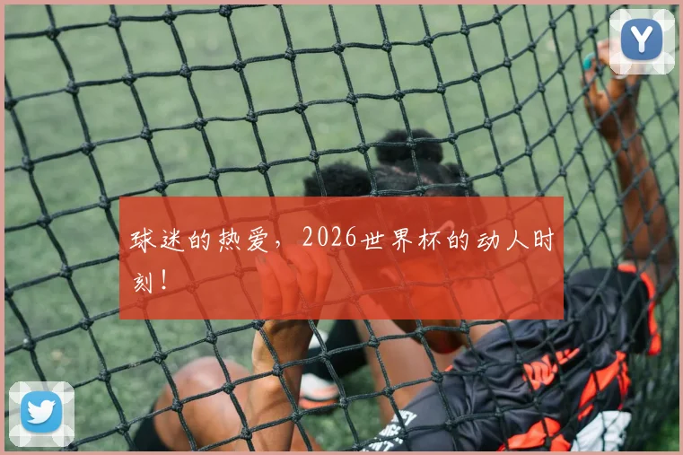球迷的热爱,2026世界杯的动人时刻!