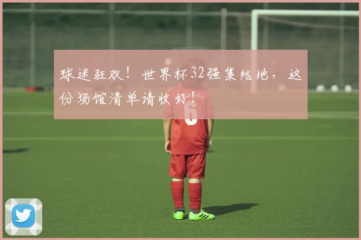 球迷狂欢！世界杯32强集结地，这份场馆清单请收好！